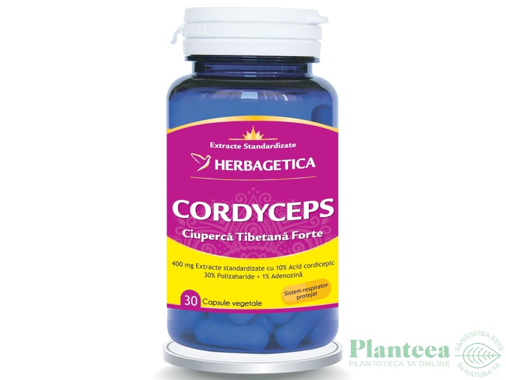 Cordyceps forte 30cps - HERBAGETICA