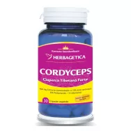Cordyceps forte 30cps - HERBAGETICA