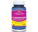 Cordyceps forte 30cps - HERBAGETICA