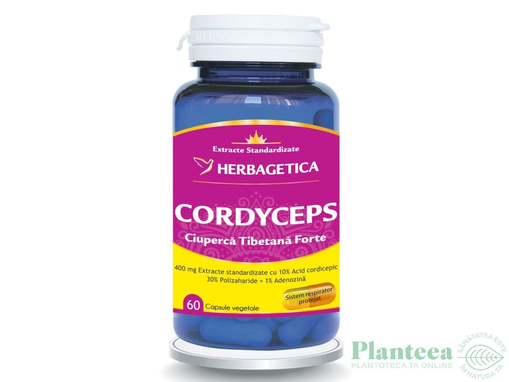 Cordyceps forte 60cps - HERBAGETICA