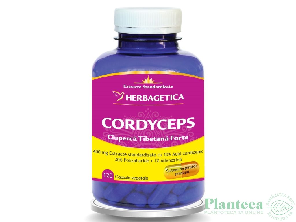 Cordyceps forte 120cps - HERBAGETICA