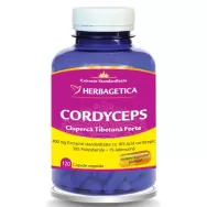 Cordyceps forte 120cps - HERBAGETICA