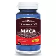 Maca ZenForte 60cps - HERBAGETICA