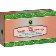 Fiole colagen acid hyaluronic 12x2ml - HYPERICUM