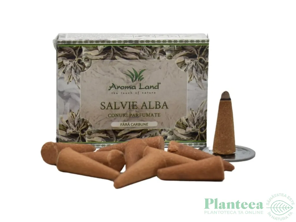 Conuri parfumate White Sage 10b - AROMA LAND
