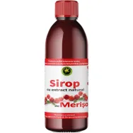 Sirop merisor cu zahar invertit 500ml - HYPERICUM