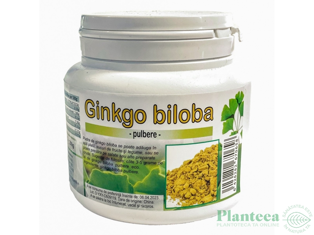 Pulbere ginkgo biloba 200g - DECO ITALIA