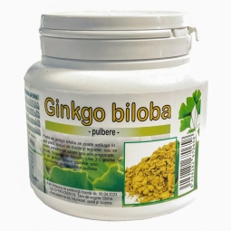 Pulbere ginkgo biloba 200g - DECO ITALIA