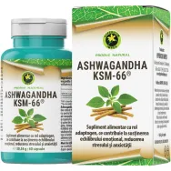 Ashwagandha KSM~66 800mg 60cps - HYPERICUM