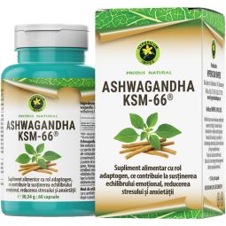 Ashwagandha KSM~66 800mg 60cps - HYPERICUM