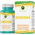 Berberina 400mg 60cps - HYPERICUM