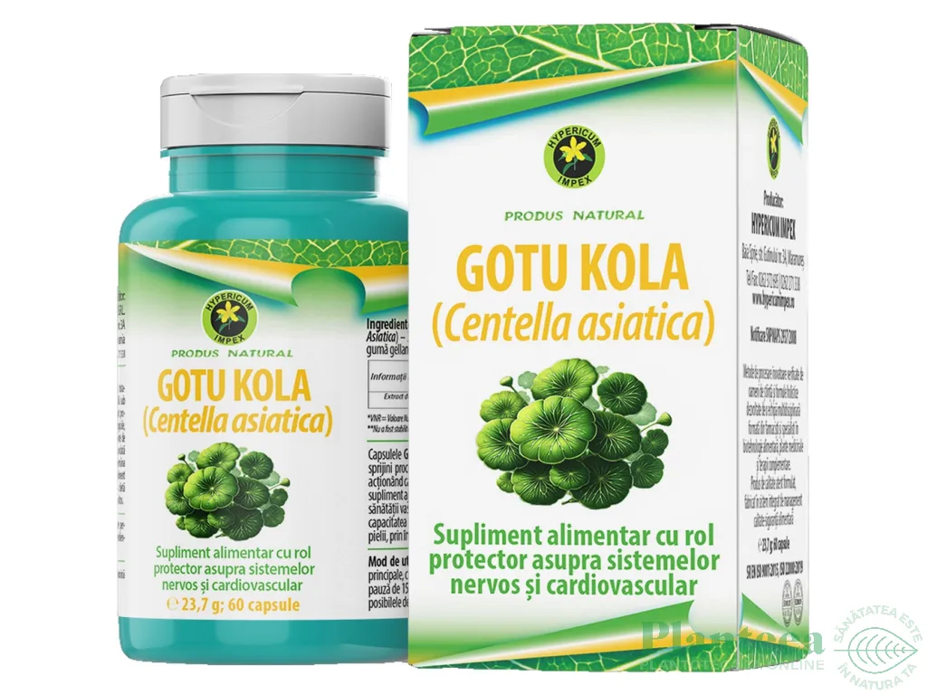 Gotu kola 300mg 60cps - HYPERICUM