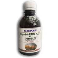 Sirop muguri brad plop propolis diabetici 200ml - ELIDOR