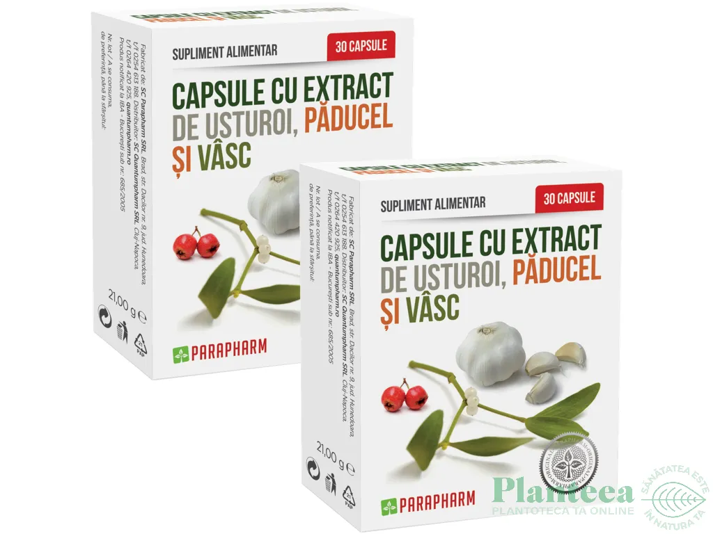 Set Usturoi paducel vasc 2x30cps - PARAPHARM