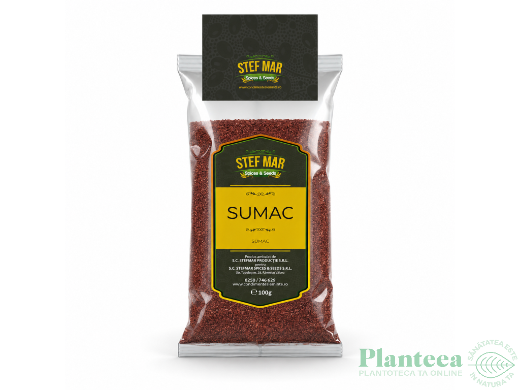 Condiment sumac 100g - STEF MAR