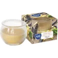 Lumanare parfumata pahar 18h Vanilla Dream 80g - AURA