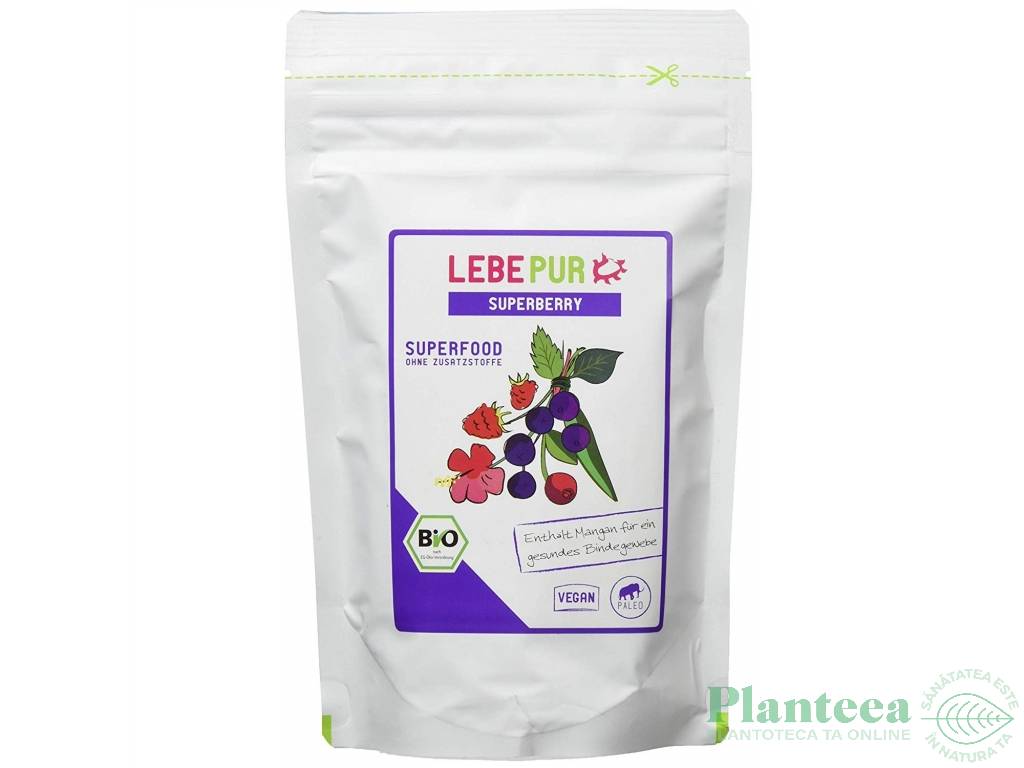 Pulbere fructe padure 125g - LEBEPUR