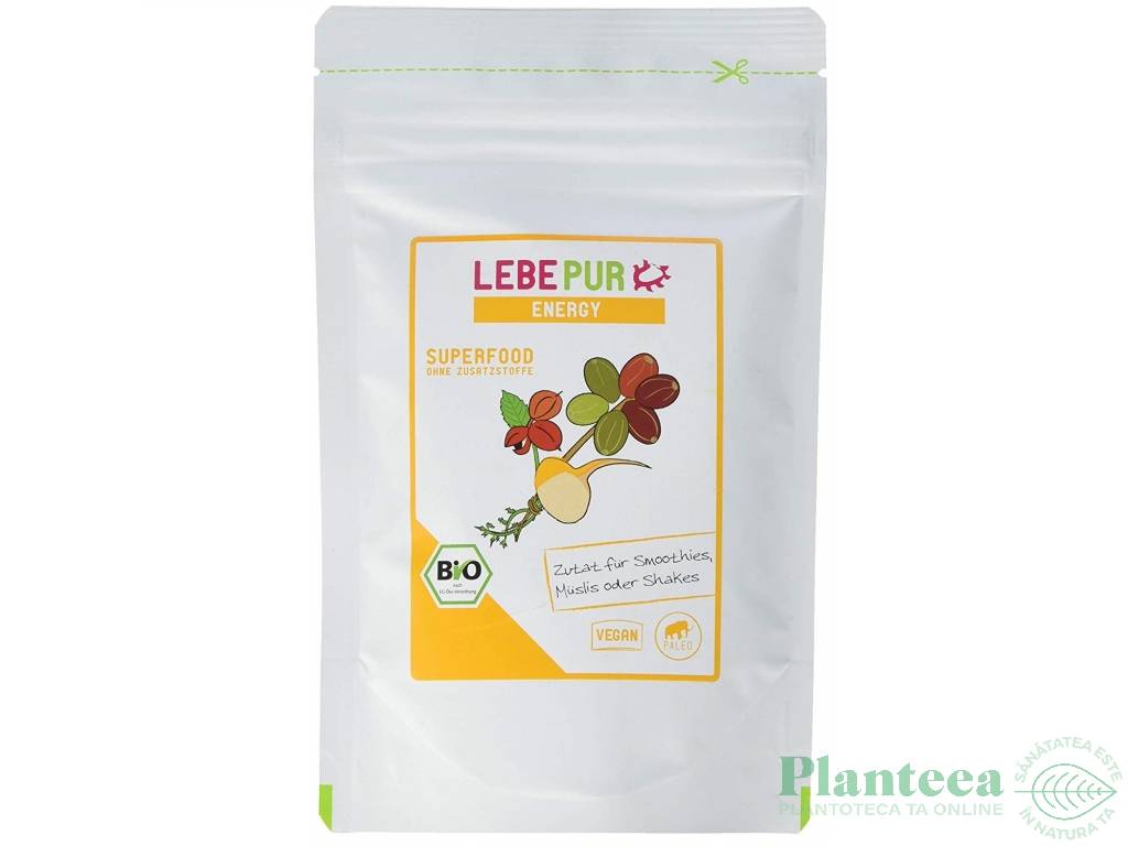 Pulbere energizanta 100g - LEBEPUR