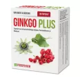 Ginkgo plus 30cps - PARAPHARM