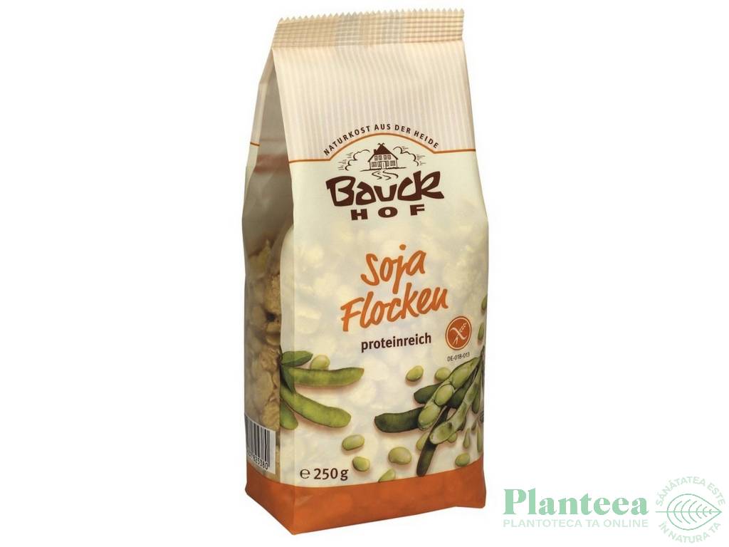 Fulgi soia fara gluten eco 250g - BAUCK HOF