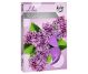 Lumanari pastila parfumate 4h liliac 6b - AURA