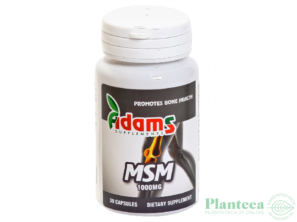 MSM 1000mg 30cps - ADAMS