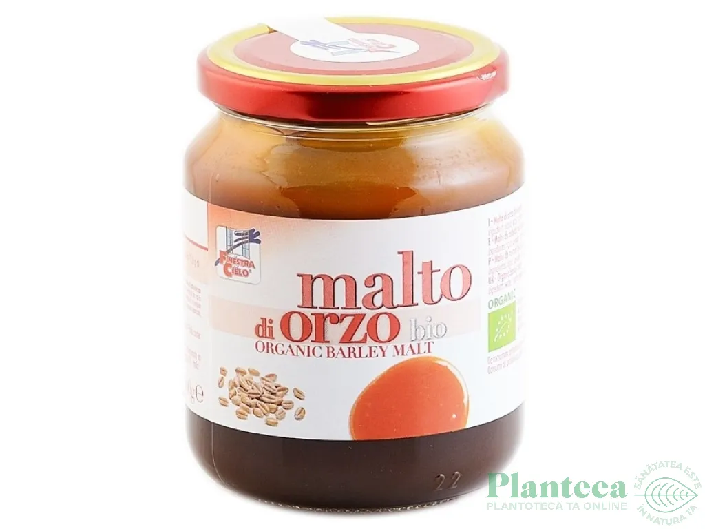 Indulcitor sirop malt orz bio 400g - LA FINESTRA SUL CIELO