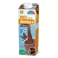 Lapte ovaz cacao eco 1L - THE BRIDGE