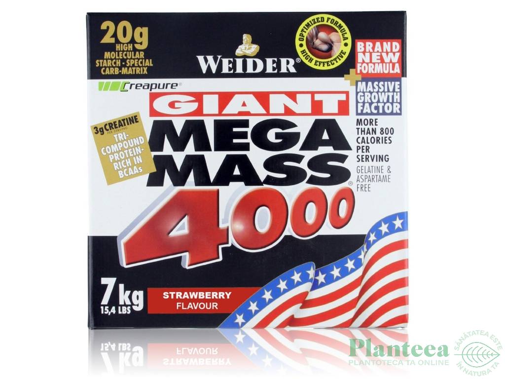 Gigant mega mass 4000 capsuni 7kg - WEIDER