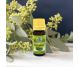 Ulei esential eucalipt 10ml - HERBAL SANA