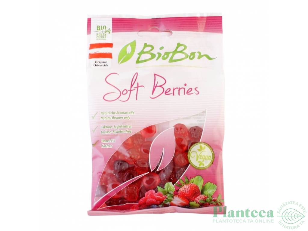 Jeleuri fructe padure eco 100g - BIOBON