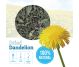 Ceai papadie 50g - BONCHIS