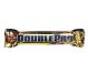 Baton proteic 28% DoublePro citrice cocos 100g - WEIDER