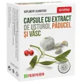 Usturoi paducel vasc 30cps - PARAPHARM