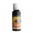 Tinctura propolis 30% 30ml - PARAPHARM