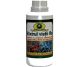 Sirop Elixirul vietii Ro 250ml - HYPERICUM