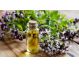 Ulei esential oregano 100% pur 10ml - FARES