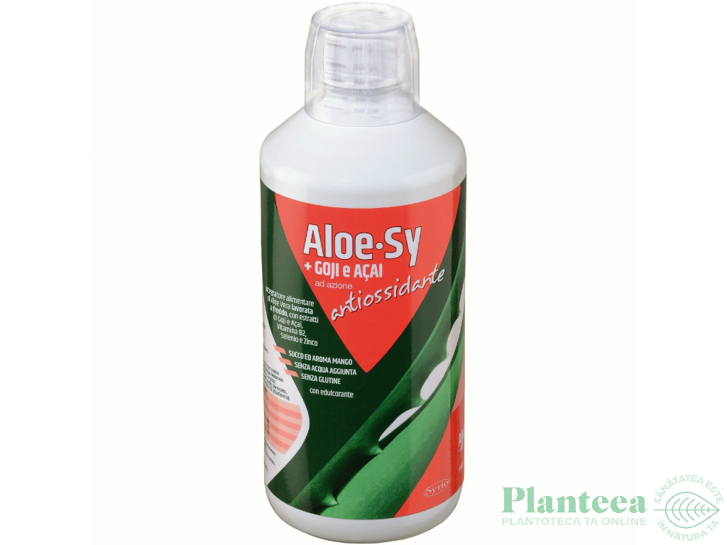 Suc gel aloe vera goji acai Sy 1L - SYRIO