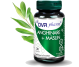 Set Anghinare Maslin 400mg 3x30cps - DVR PHARM