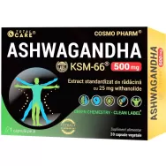 Ashwagandha KSM~66 500mg Total Care 30cps - TOTAL CARE