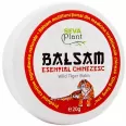 Balsam esential chinezesc 20g - SEVA PLANT