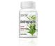 Andrographis 30cps - ZENYTH