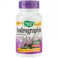 Andrographis SE 60cps - NATURES WAY