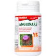 Anghinare 200mg 40cps - FAVISAN