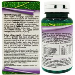 Antialcool 60cps - HYPERICUM PLANT