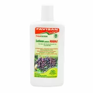 Lotiune masaj fructe soc menta FaviDerm 125ml - FAVISAN