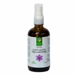 Argint coloidal 10ppm spray 100ml - SANTO RAPHAEL