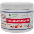 Crema articulatii ArticularSinergic 200ml - SYNERGY PLANT