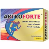 Artroforte 30cps - COSMO PHARM