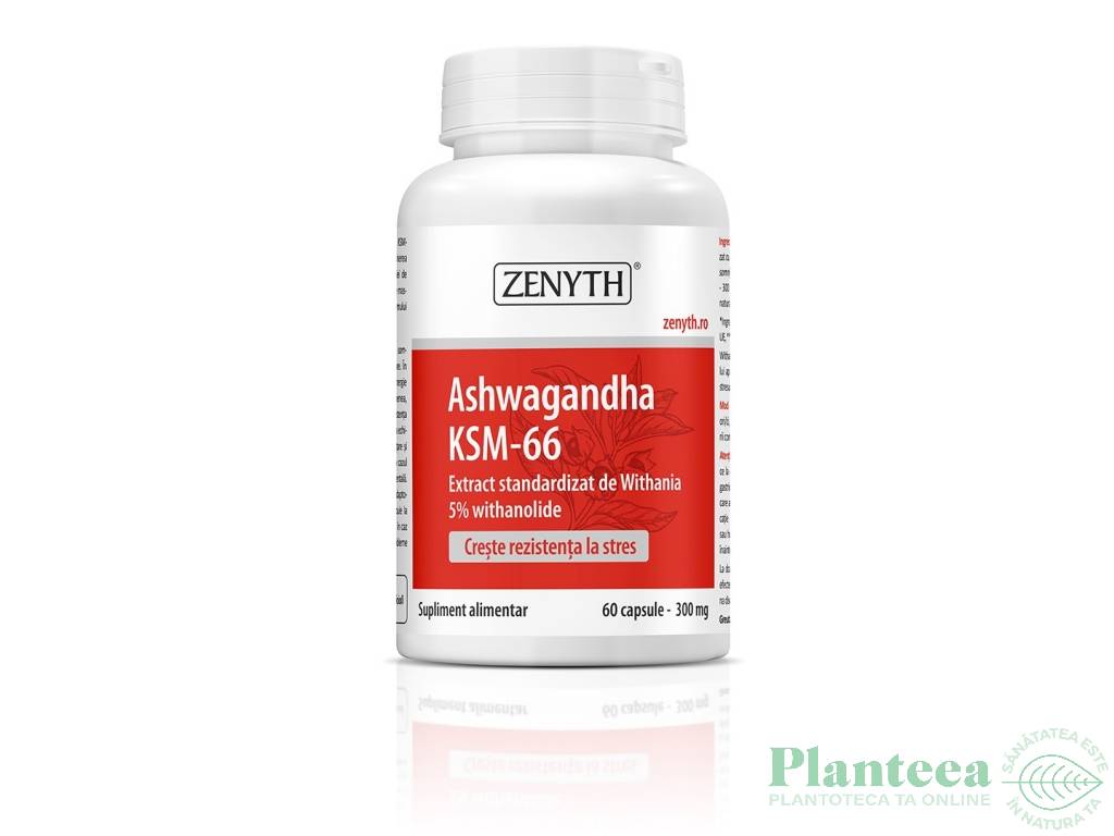 Ashwagandha KSM66 300mg 60cps - ZENYTH